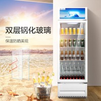美的(Midea)冷藏柜320升 大容积立式冰柜商用 玻璃门 冷柜 饮料柜 展示柜 冰吧S
