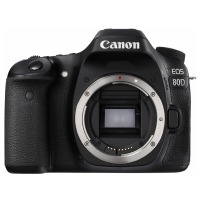 佳能（Canon）EOS 80D 单反机身＋佳能EF100mmf2.8L百微镜头套装（含配