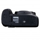 佳能（CANON） 5d4 5D Mark IV专业全画幅单反相机 单机身/不含镜头