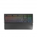 樱桃（Cherry）MX1.0 G80-3819LYAEU-2 机械键盘 有线键盘 游戏键盘 全尺寸RGB背光机械键盘 黑色 红轴
